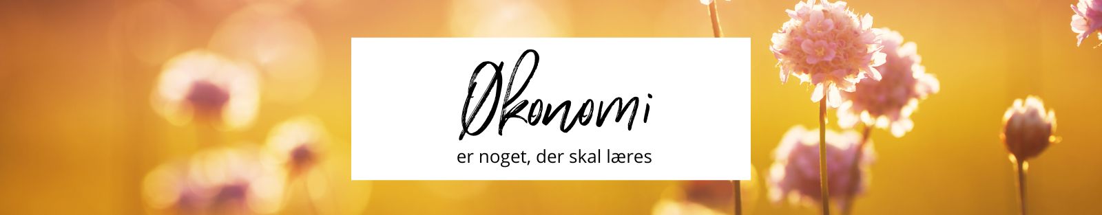 Kend_Dine_Penge_Vinter